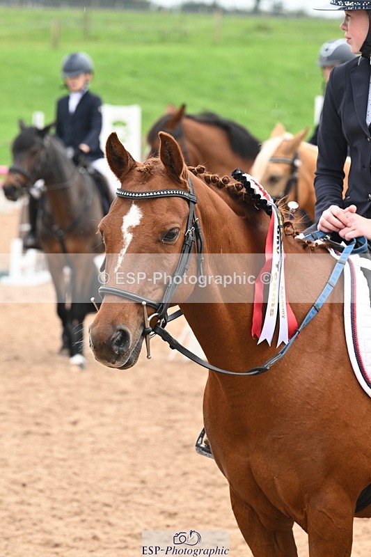 240907A-115536-01092 - Cls 2 Pony Small Team 70cm & 80cm