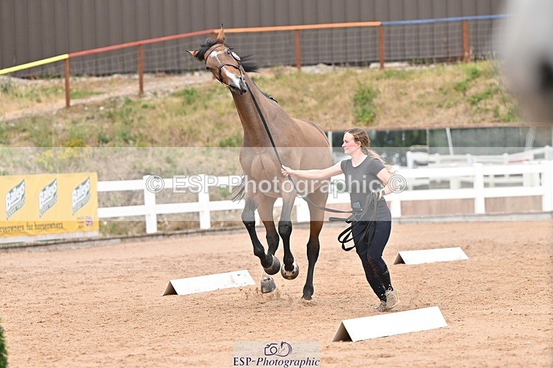 250716-161959-02572 - Trot Up 3.30 to 4.30