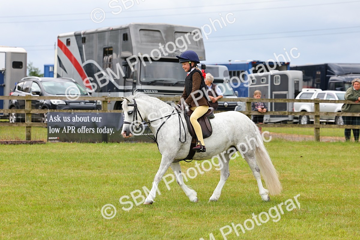 SBM_08623 - Class 42-43 - LIHS BSPS Heritage Working Sports Pony