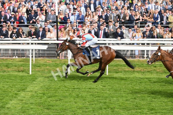 yr21052022r4-22 - Race 4: 3:30pm William Hill Brontë Cup