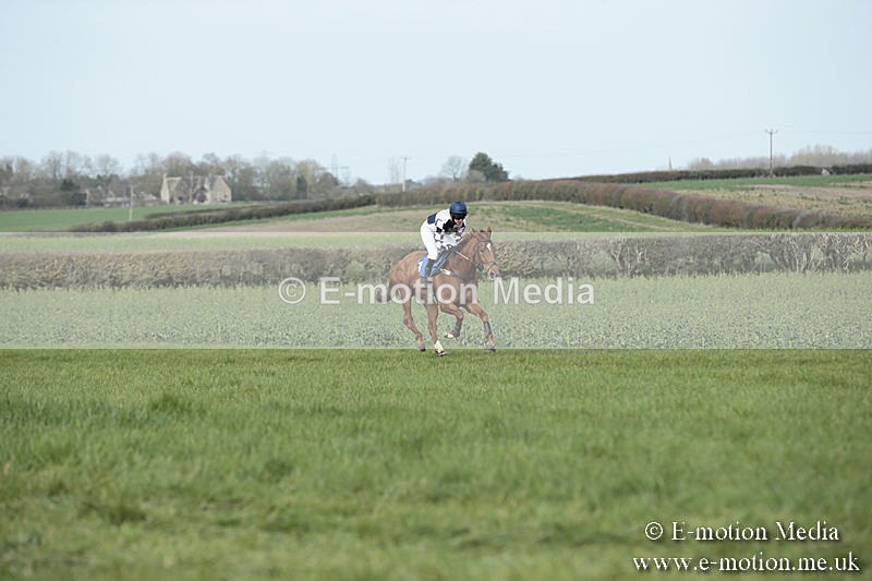 PtP 230319 357 - VWH Hunt Siddington Point-to-Point Racing 23/03/19