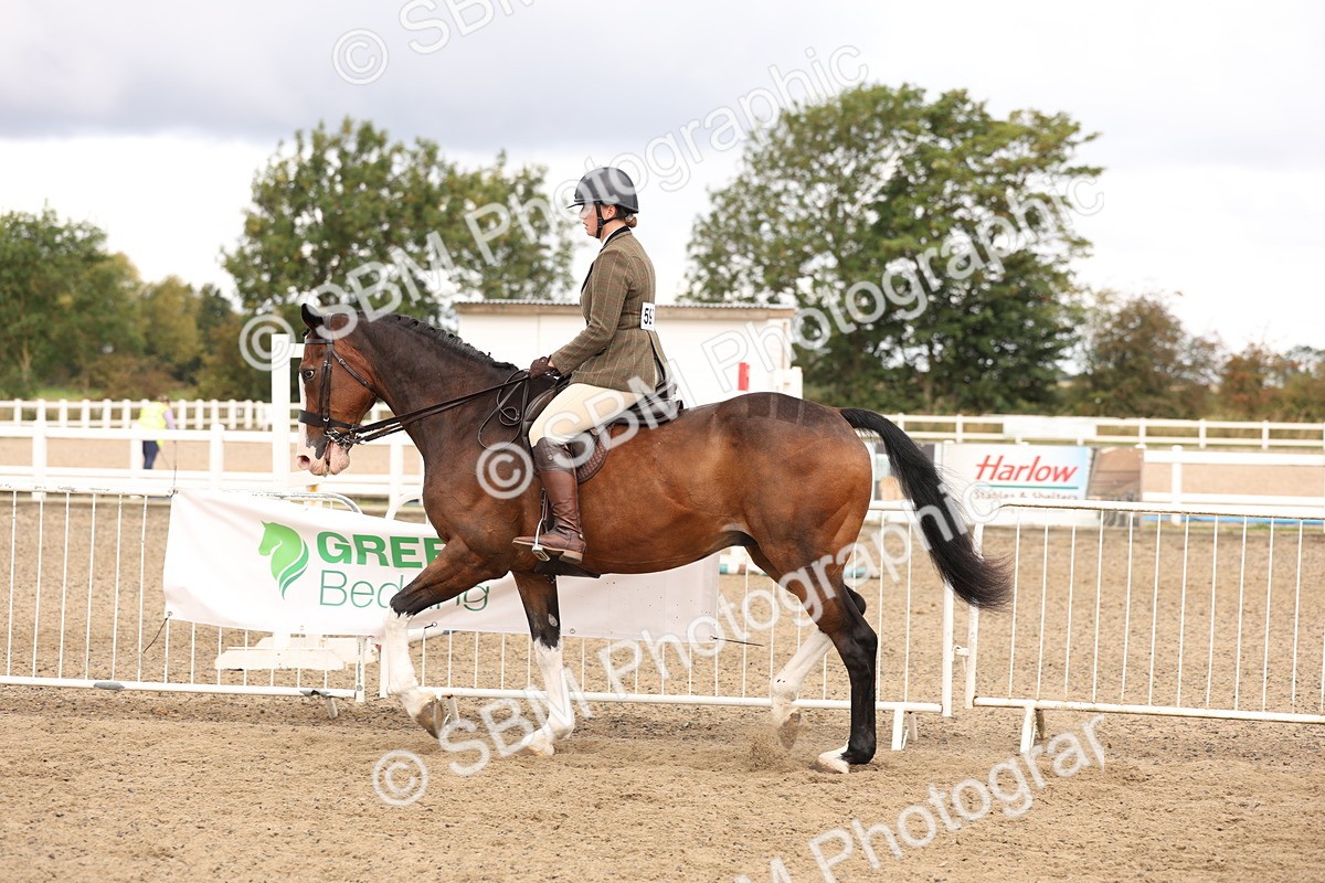 SBM_02873 - Class 53 - Ridden Competition Horse/Pony