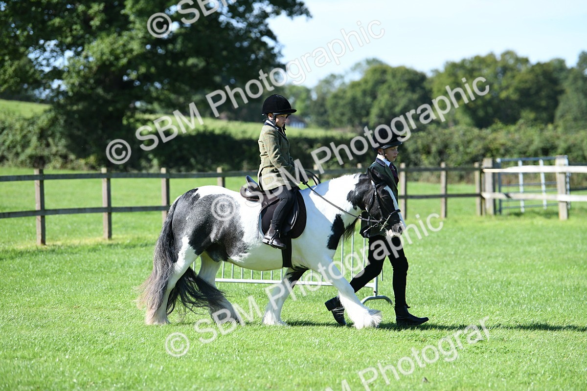 SBM_39570 - S18 - Novice & Newcomers Lead Rein Pony