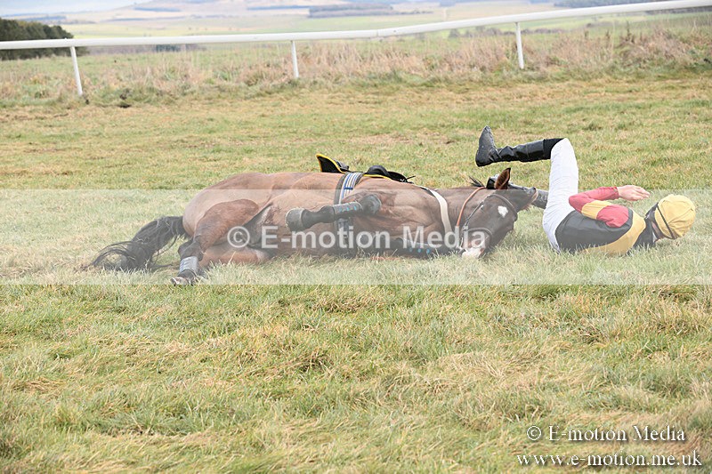 PtP 230119 75 - Royal Artillery Point-to-Point  - Larkhill  - 26/01/19