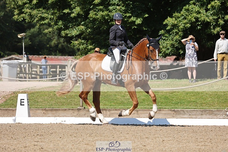 240719-103907-00755 - 223-Deborah_Randall-Sandy's_Bertie