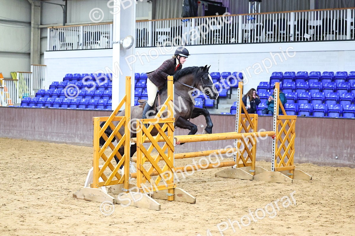 SBM_006566 - Class 43 - RIHS Qualifier Exceeding 43cms