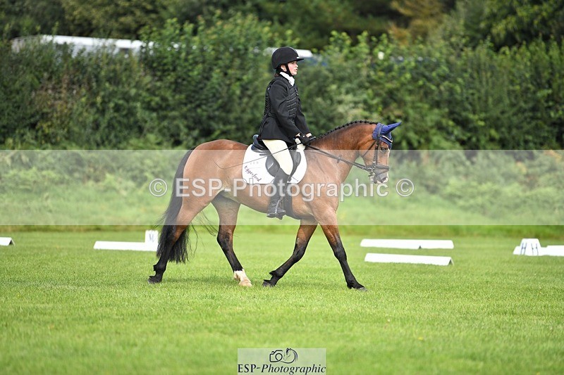 230826-103550-15525 - Sections C & D 10 to End