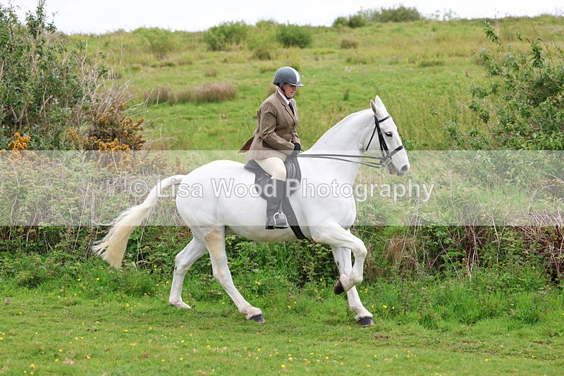 3E7A1209 - Class 7: Ridden Hunter Type