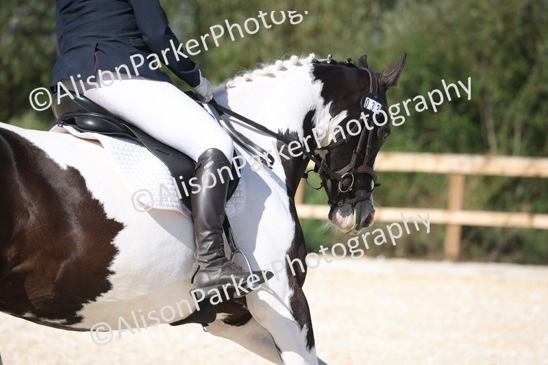 20260905-1581 - Class 5 - Novice 2