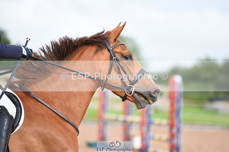 230711A-173800-00305 - 80cm