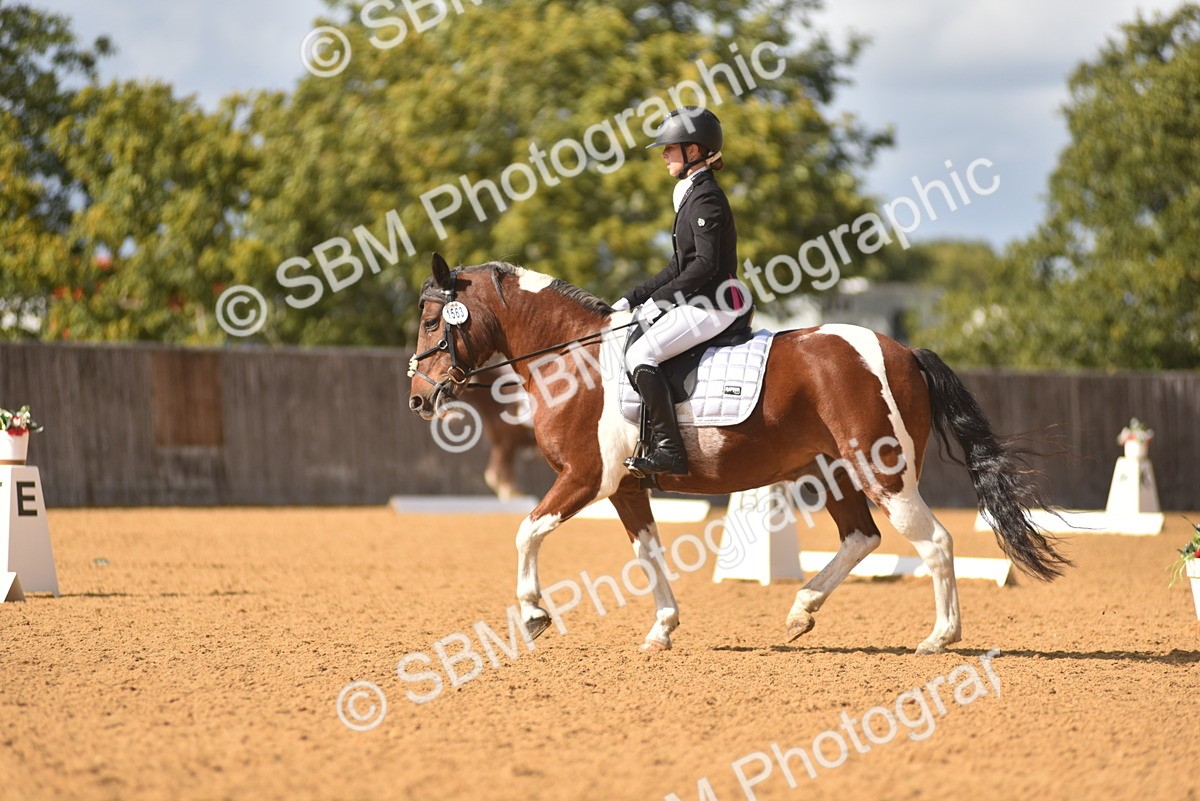 SBM_24252 - D4 - Small Tour Championship Intro 4