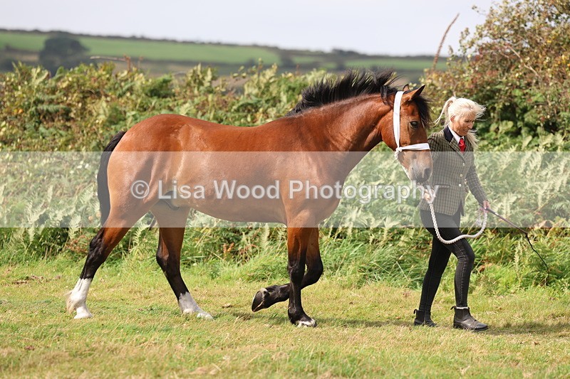 3E7A4320 - Class 15: Three Year Olds