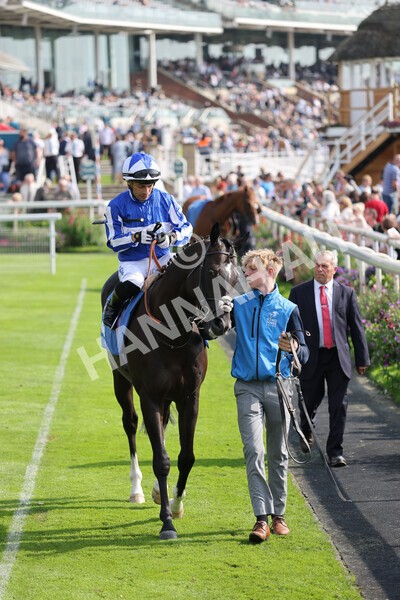 yr05092021r3-3 - Race 3 3.15pm The BioWaveGo Garrowby Stakes