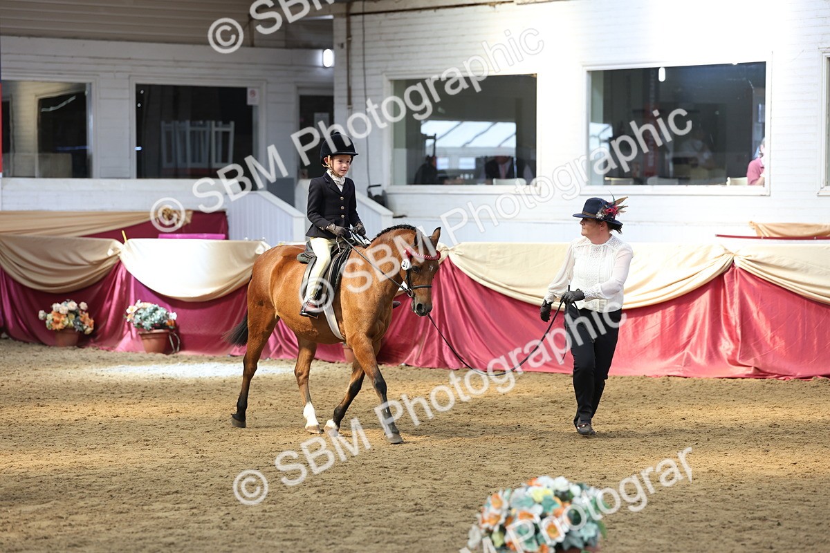 SBM_24107 - Class 905 - Supreme Final - Ridden Veteran
