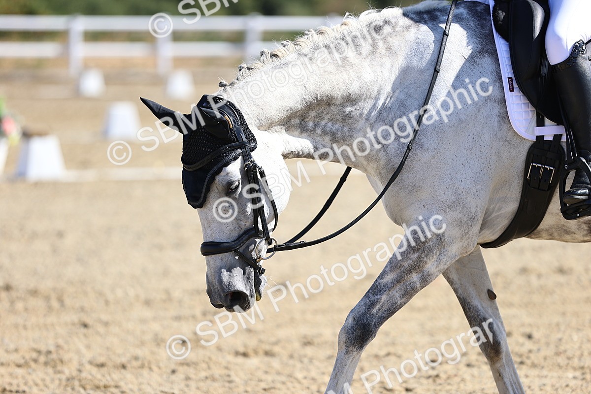 SBM_013149 - Class 2 - P5 Silver  10.03.10.59