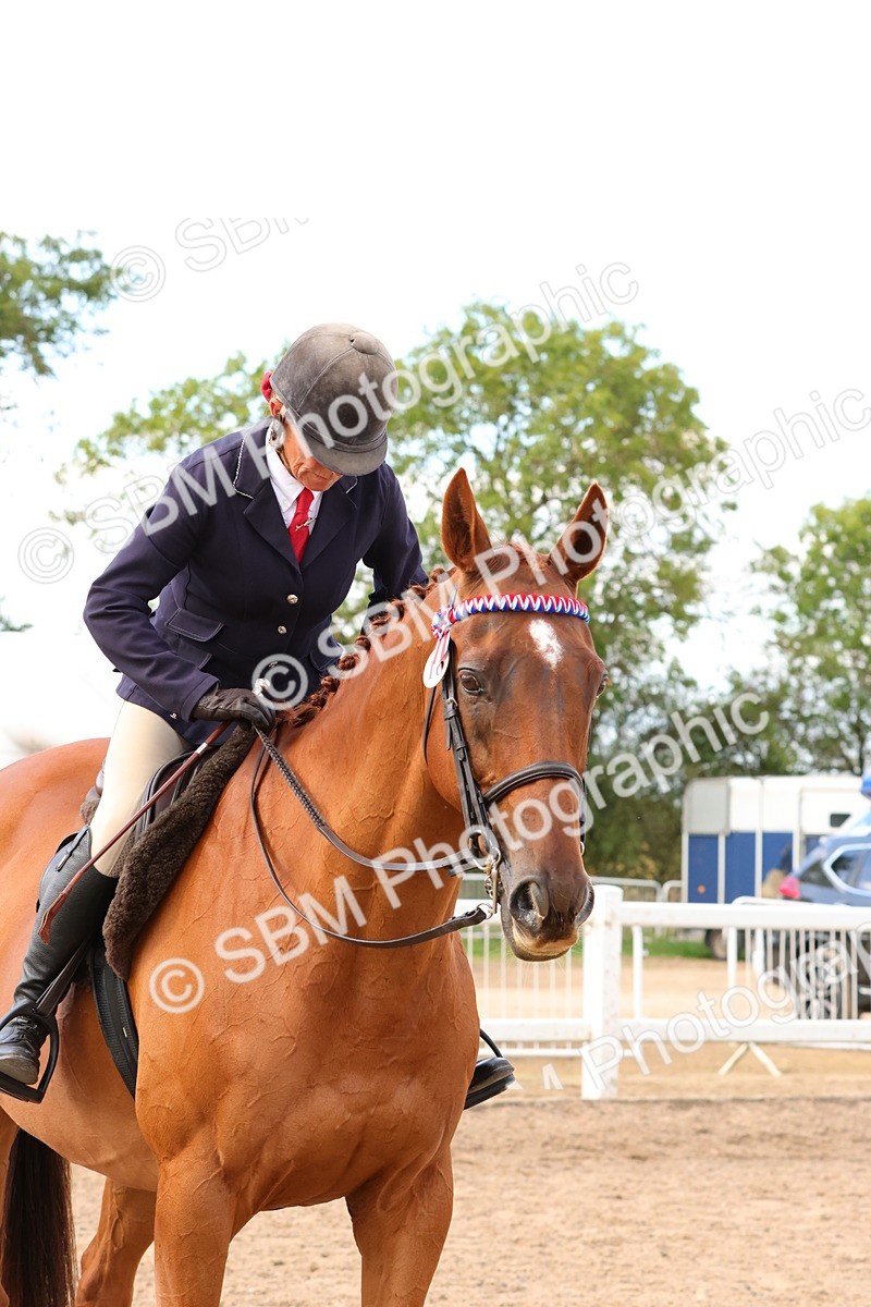 SBM_16262 - Class 217 - Ridden Retired Racehorse