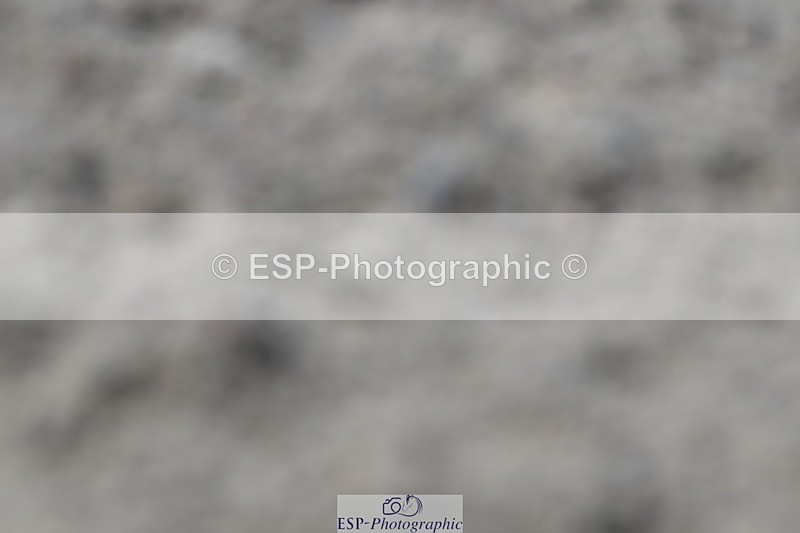 250621-153724-10935 - Cls 32 - Medium 5, Start to 16.15