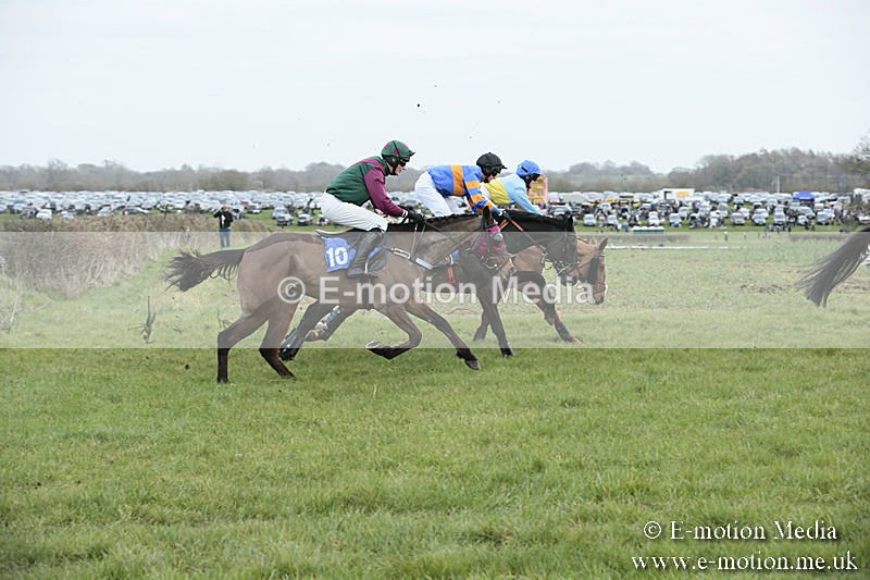 PtP 230319 101 - VWH Hunt Siddington Point-to-Point Racing 23/03/19