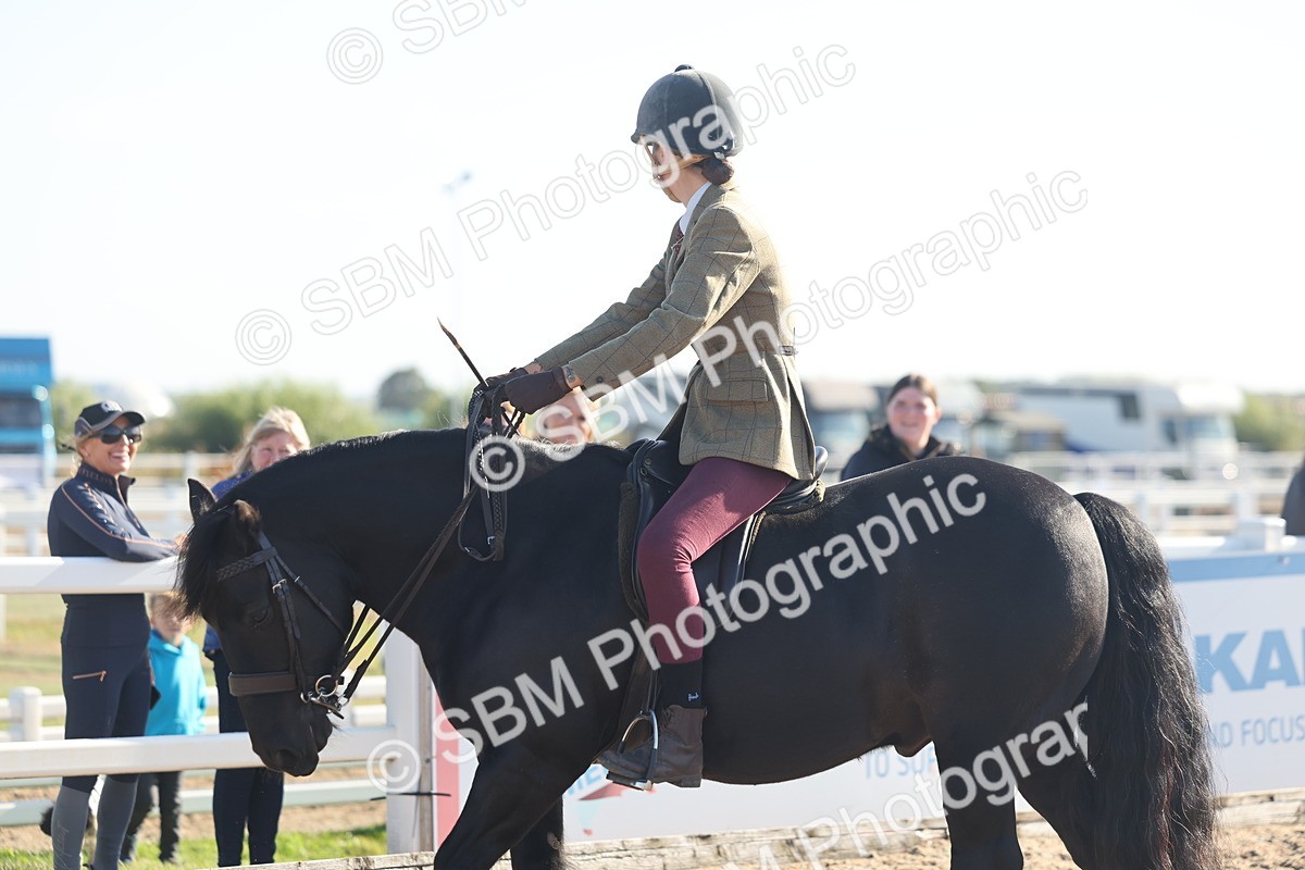 SBM_22178 - Class 802 - Ridden Groom Helpers Class