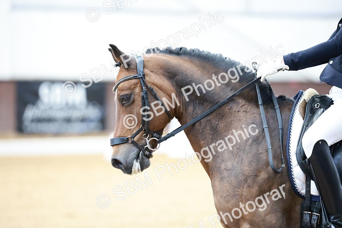 SBM_017134 - Class15 - FEI Pony