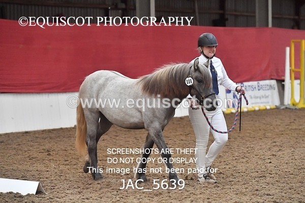 JAC_5639 - 6 Glenmuir Niamh