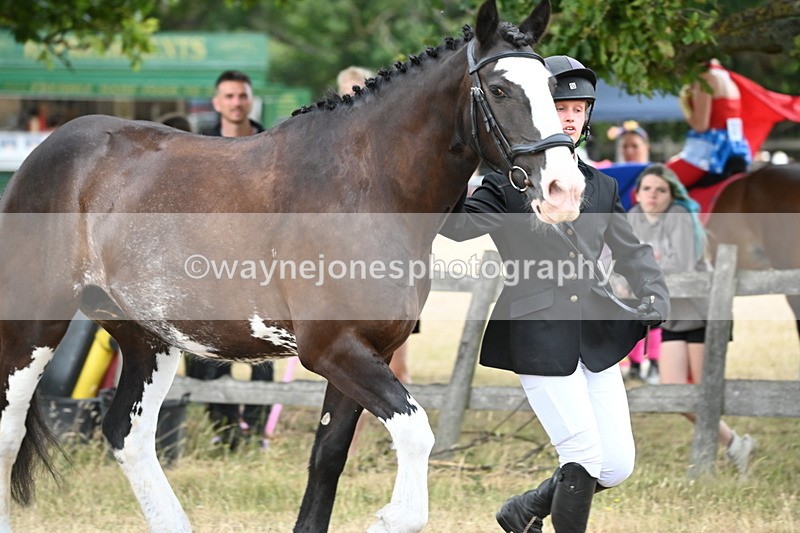 WJ6_8073 - Class 10 Coloured in Hand