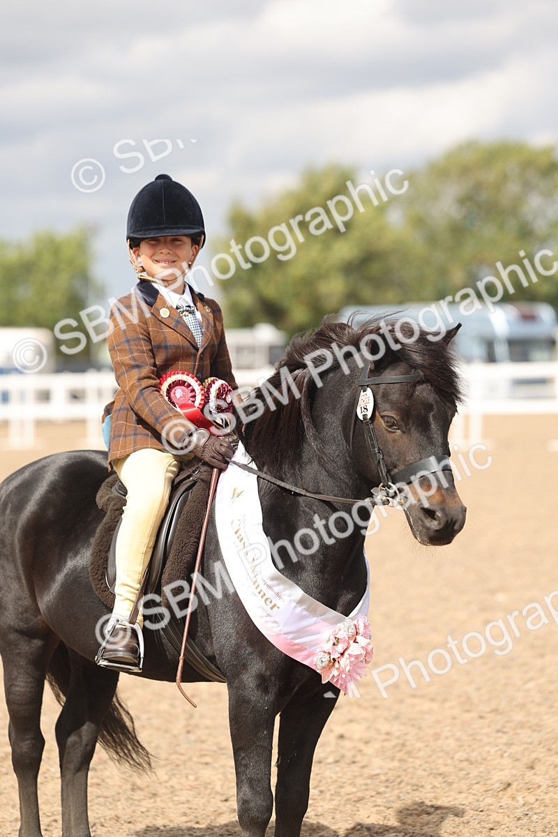 SBM_15920 - Class 310 - First Ridden Pony