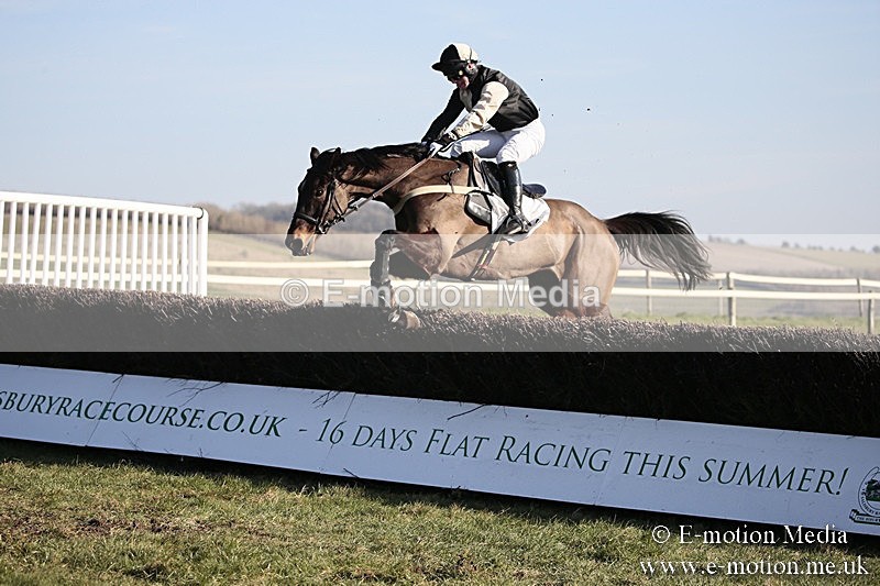 PtP 240218 537 - Vine & Craven Hunt Point-to-Point Barbury racecourse 24/02/18