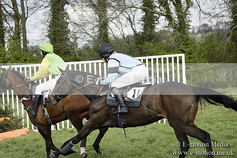 PtP 170417 337 - Old Berks Point-to-Point Lockinge 17/04/17