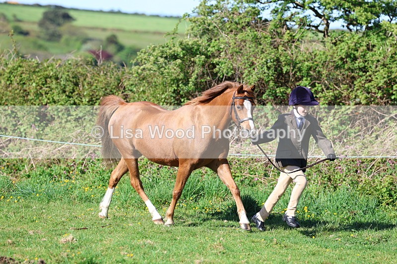 3E7A8348 - Class 12: M & M Small Breeds