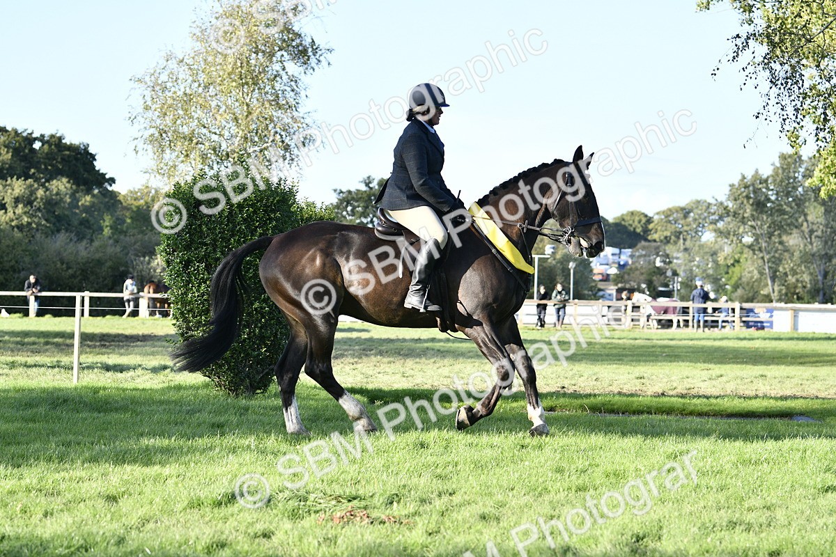 SBM_51705 - Working Hunter Supreme Championship