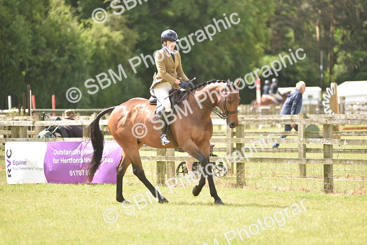 SBM_15101 - Class 113-114 - Retraining of Racehorses Ridden