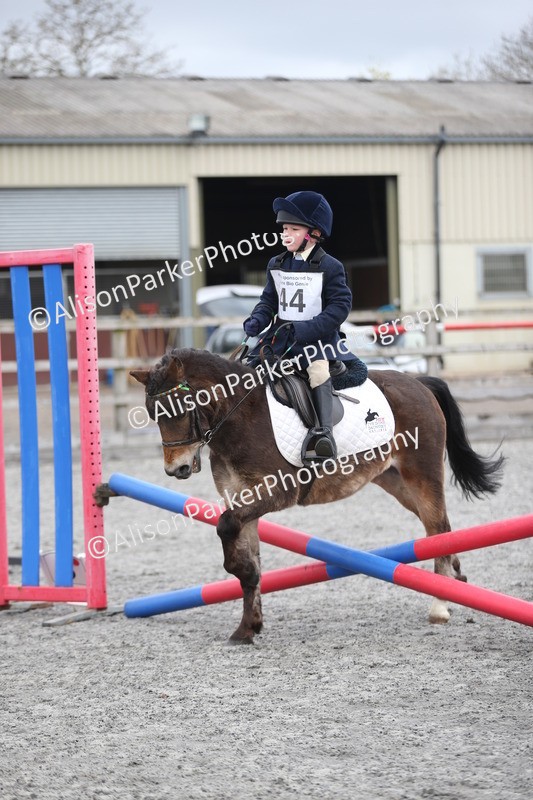 20260412-0560 - Show Jumping