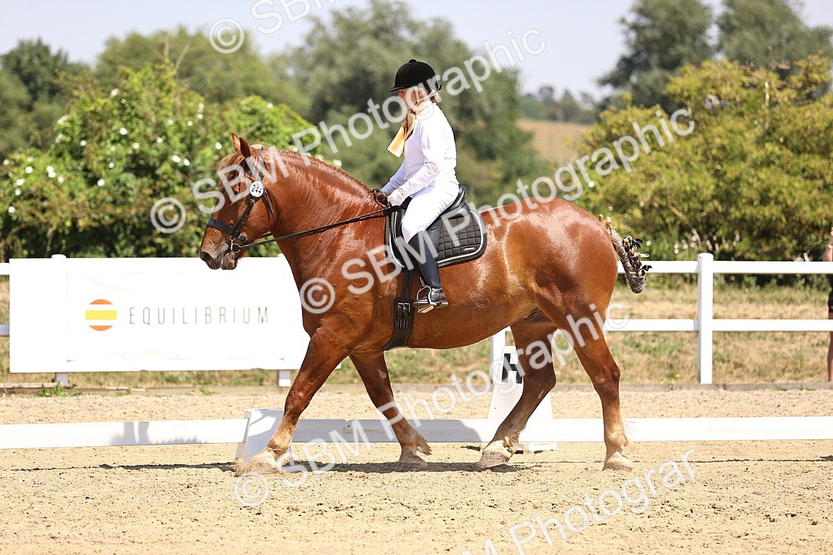 SBM_004139 - Intro 2