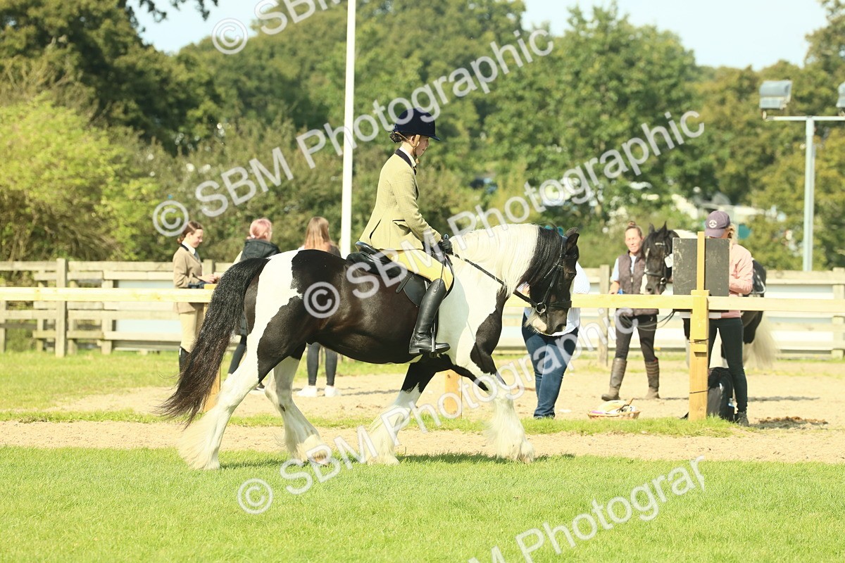 SBM_67588 - S56 - Coloured Pony Ridden