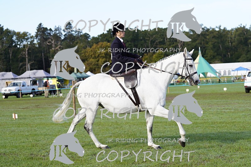 _DSC9342 - Class 8 & 17 Ridden Hunter & Ridden Hunter Pony