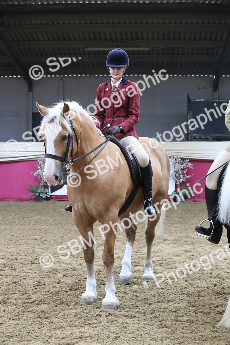 SBM_10465 - Class 102 Equitation (best rider) Adult