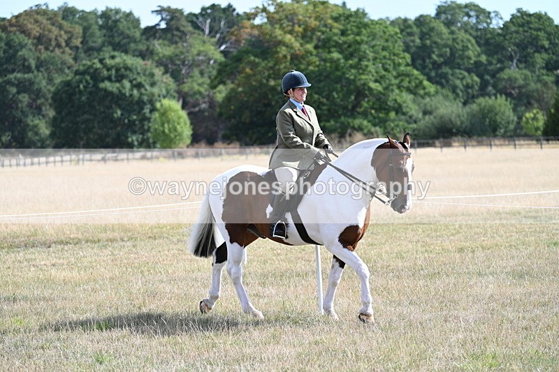 WJ7_2701 - Class 8 Ridden Tack & Turnout