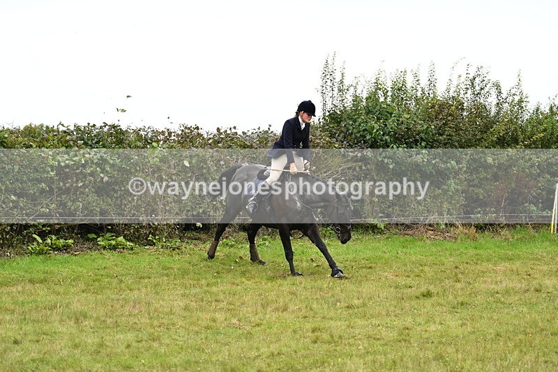 WJ7_4230 - Camera 1 Line 2