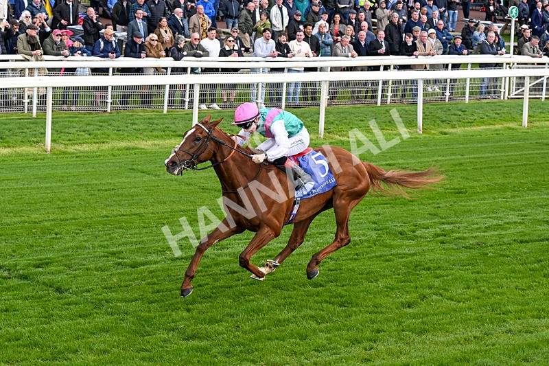 140526-Race 5-Item-0281 - Race 5 4.05pm Al Basti Equiworld Dubai Dante Stakes