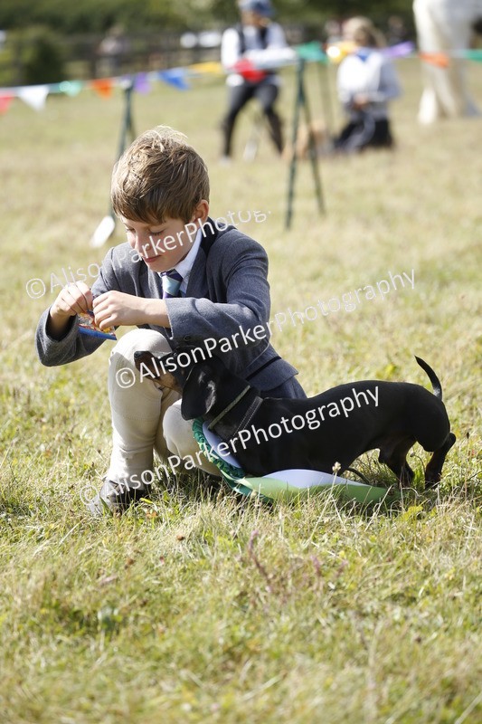 20250831-3811 - Dog Show