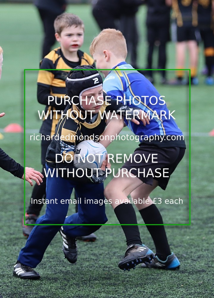 IMG_5973 - Kendal Rugby Mini & Youth Under 8 & Under 9  (1/12/24)