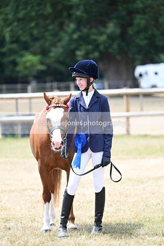 WJ7_2116 - Prettiest Mare Champs