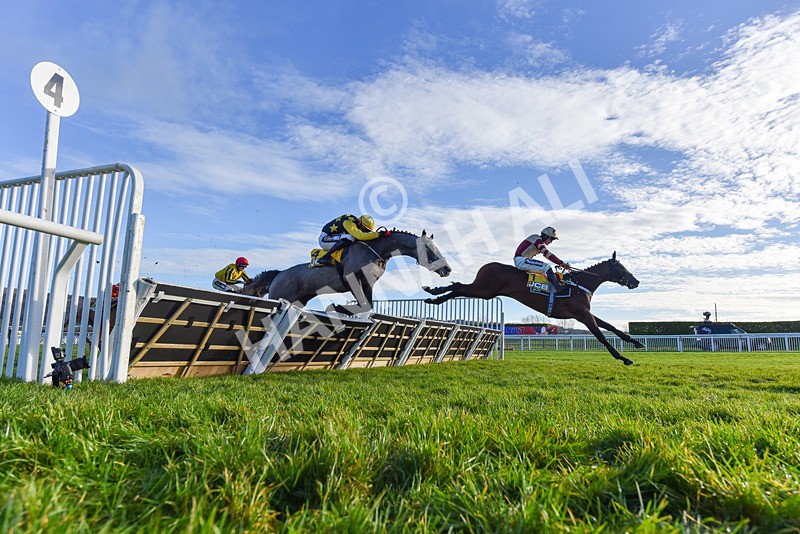 141224-Race 1-Quantock Hills-9243 - Race 1