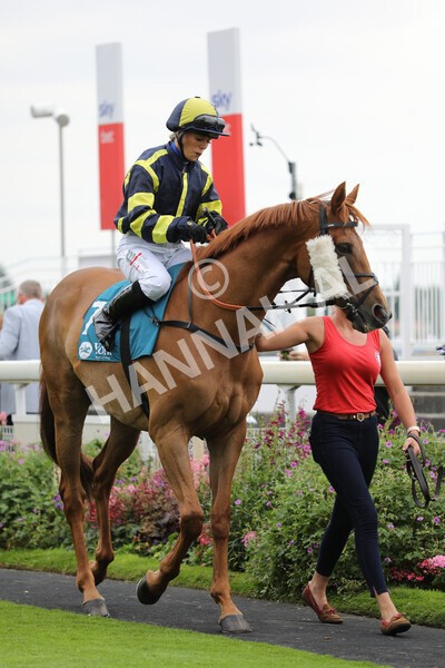 yr23072022r5-6 - Race 5 4.25pm Sky Bet UK's No1 Betting App Stakes
