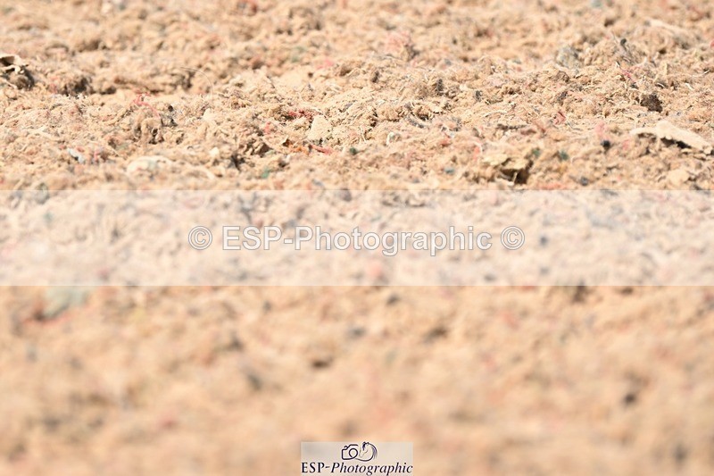 250620-154524-04420 - BD Cls 10 - Medium 5, 15.20 to End