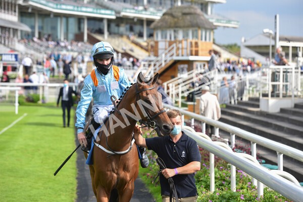 yr09072021r7-1 - Race 7 5.30pm William Hill Extra Place Races Stakes