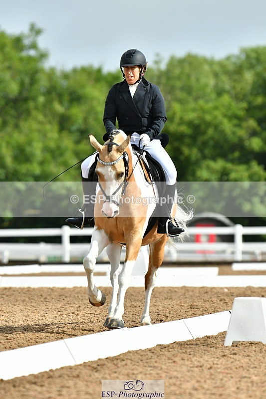 230708A-093835-02174 - Prelim 13