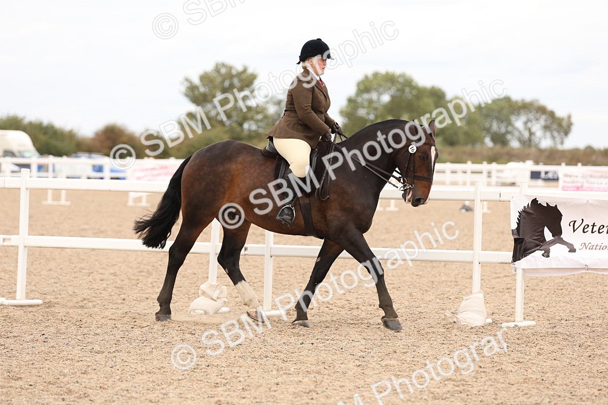 SBM_19513 - Class 215 - Ridden Show cob