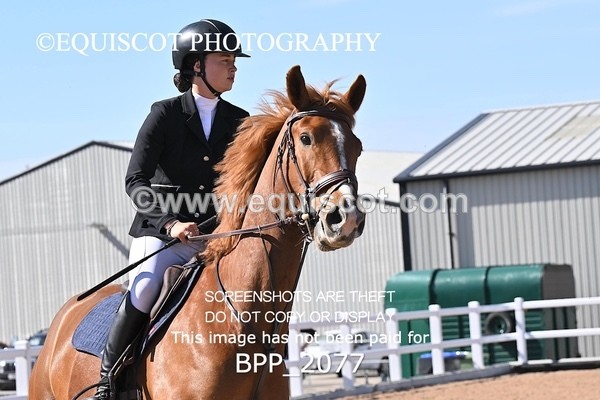 BPP_2077 - CLASS 4. - FRI - Senior Discovery/1m Open